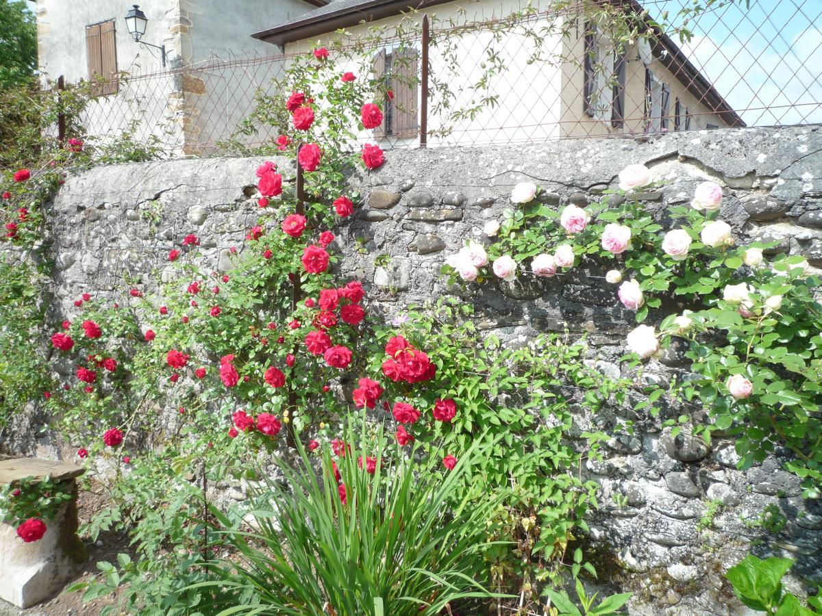 Bearn Bed&Breakfast Pau Exterior foto